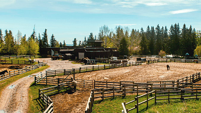 2025 Red Deer Spartan Event Weekend cover image