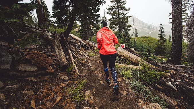 2025 West Virginia Trail Experience cover image